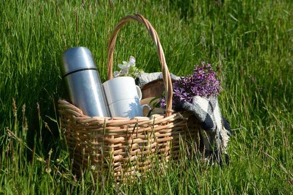 Picnic in the Park on the green grass. Picnic basket and blanket. Summer holiday