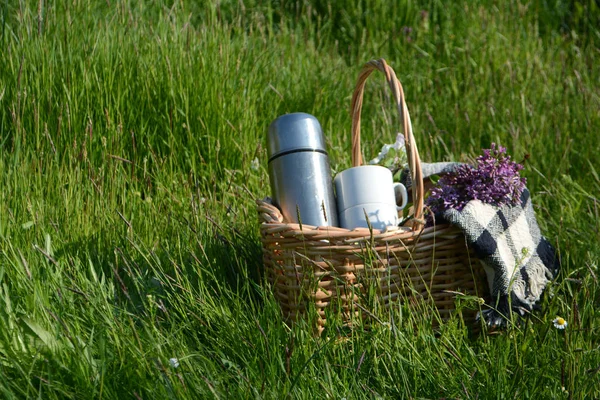 Picnic in the Park on the green grass. Picnic basket and blanket. Summer holiday