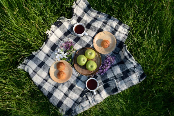 Picnic in the Park on the green grass with fruit, muffins, tea. Picnic blanket. Summer holiday. Top view