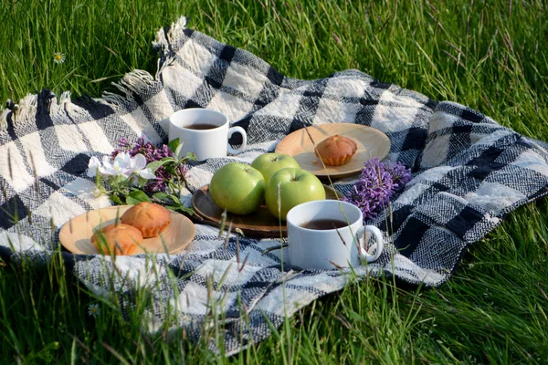Picnic in the Park on the green grass with fruit, muffins, tea. Picnic blanket. Summer holiday
