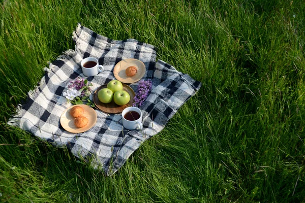 Picnic in the Park on the green grass with fruit, muffins, tea. Picnic blanket. Summer holiday. Top view