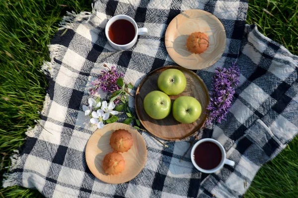 Picnic in the Park on the green grass with fruit, muffins, tea. Picnic blanket. Summer holiday