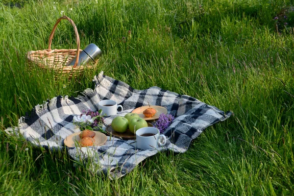 Picnic in the Park on the green grass with fruit, muffins, tea. Picnic basket and blanket. Summer holiday