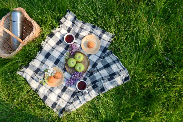 Picnic in the Park on the green grass with fruit, muffins, tea. Picnic basket and blanket. Summer holiday. Top view