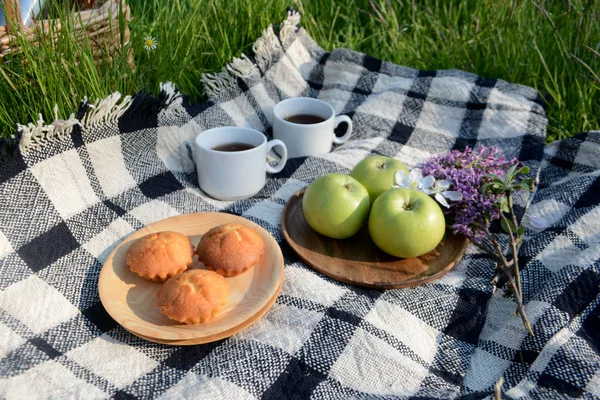 Picnic in the Park on the green grass with fruit, muffins, tea. Picnic blanket. Summer holiday