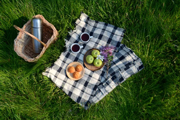 Picnic in the Park on the green grass with fruit, muffins, tea. Picnic basket and blanket. Summer holiday. Top view