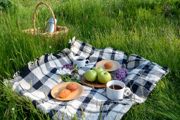Picnic in the Park on the green grass with fruit, muffins, tea. Picnic basket and blanket. Summer holiday