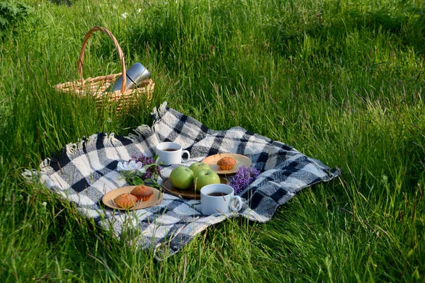 Park Yeşil Çimenlerde Meyve Kekler Çayla Piknik Piknik Sepeti Battaniye Stok Fotoğraf