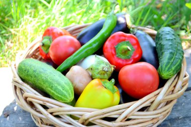 Bir hasır sepet bahçede farklı taze organik sebzeler. Yaz ve sonbahar hasat. Sağlıklı organik gıda konsepti