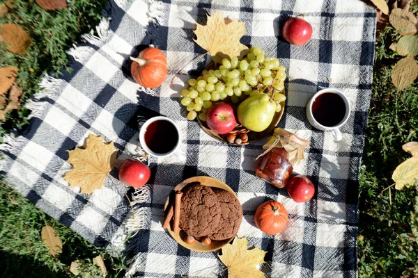 Autumn picnic in the park with fruit, cookies, jam and tea Picnic blanket. Autumn holiday. Top view