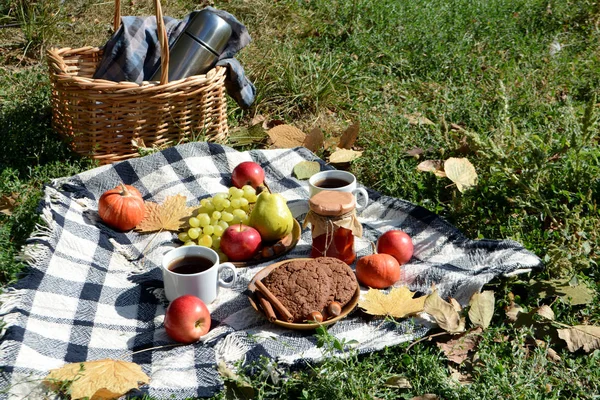 Autumn picnic in the park with fruit, cookies, jam and tea Picnic basket and blanket. Autumn holiday