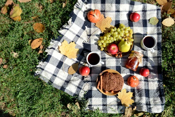 Autumn picnic in the park with fruit, cookies, jam and tea Picnic blanket. Autumn holiday. Top view