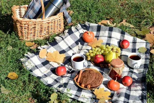 Jesienny Piknik Parku Owocami Ciastkami Dżemem Herbatą Kosz Piknikowy Koc — Zdjęcie stockowe