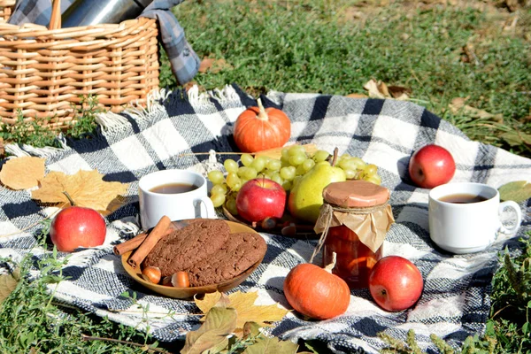 Őszi Piknik Parkban Gyümölcsökkel Sütikkel Lekvárral Teával Piknik Kosár Takaró — Stock Fotó