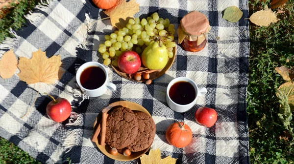Autumn picnic in the park with fruit, cookies, jam and tea Picnic blanket. Autumn holiday. Top view