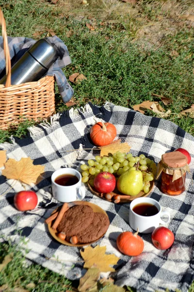 Autumn picnic in the park with fruit, cookies, jam and tea Picnic basket and blanket. Autumn holiday