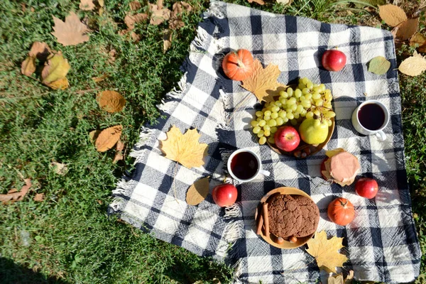 Őszi Piknik Parkban Gyümölcsökkel Sütikkel Lekvárral Teával Piknik Takaró Őszi Jogdíjmentes Stock Fotók