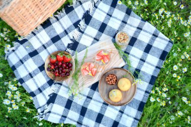 Yaz pikniği limonata, böğürtlen, granola, parkta kek