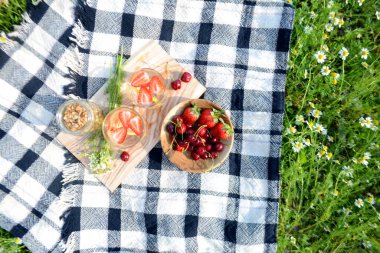 Yaz pikniği limonata, böğürtlen, parkta granola