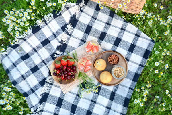 Summer picnic with lemonade, berries, granola, muffins in the park