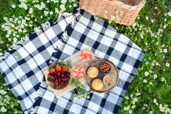 Summer picnic with lemonade, berries, granola, muffins in the park