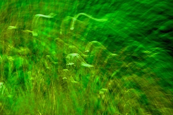 Yeşil soyut desenli duvar kağıdı arka plan girdabı.