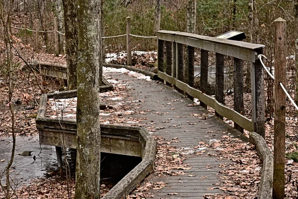 Boardwalk Observation Deck Leads Thru Winter Woods — Stock Photo, Image