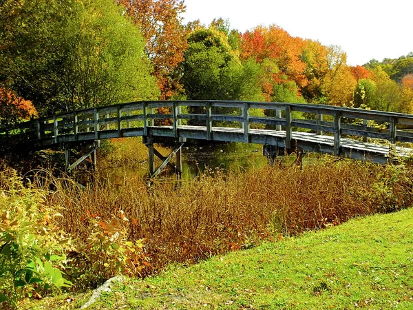 Sonbaharda Gölet Boyunca Uzanan Tahta Bir Yaya Köprüsünün Huzurlu Manzarası — Stok fotoğraf