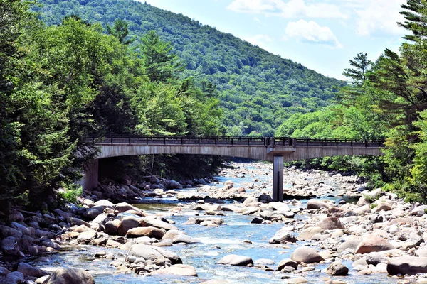 Yaz Mevsiminde Bir Dağ Nehrinin Üzerindeki Otoban Köprüsü — Stok fotoğraf