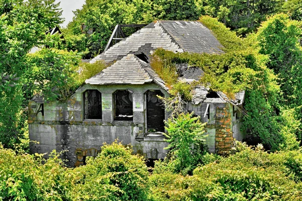 Doğa tarafından yutulan terk edilmiş bir bina.