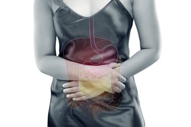 The photo of internal organs is on the women's body against gray background, Viscera on Human clipart