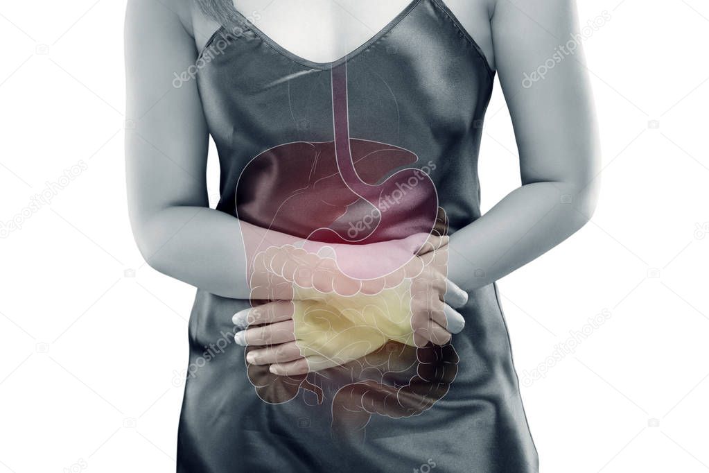 The photo of internal organs is on the women's body against gray background, Viscera on Human