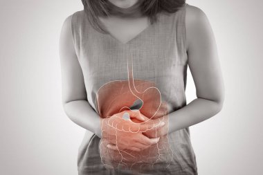 İç organları fotoğraf gri bir arka plana dayanır, kadın vücudunda iç organlar insan olduğunu