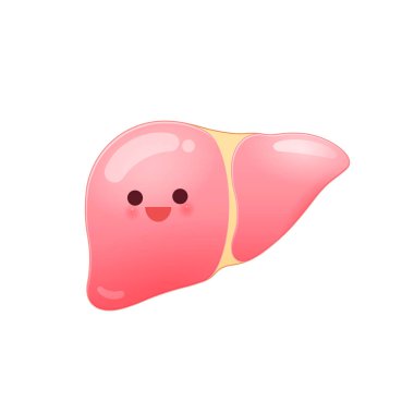 Çizgi film karaciğer beyaz arka plan - iyi izole sağlık kavramı