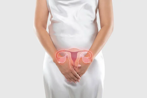 Rahim Resmi Kadının Vücudunda Gri Bir Arkaplanda Kadın Anatomisi Konsepti — Stok fotoğraf