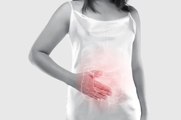 Illustration Large Intestine Internal Organs Women Body Gray Background Colon — Stock Photo, Image