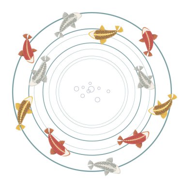 Balık koi renkli parlak kırmızı gümüş altın sarı desen daireler üzerinde beyaz arka plan vektör çizim illüstrasyon izole göl halka açılan dalga deniz çift su sazan