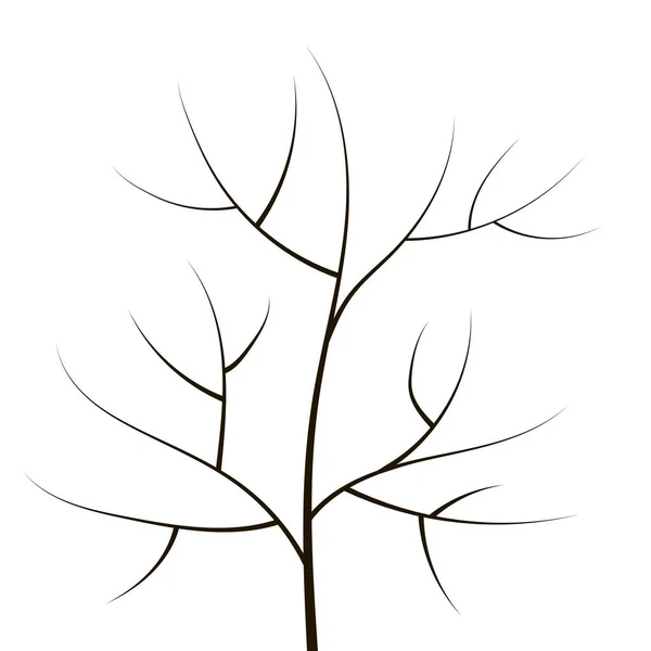 Obrys Tenkých Větví Kmene Jednoduché Černém Lese Strom Izolovaných Bílém — Stockový vektor