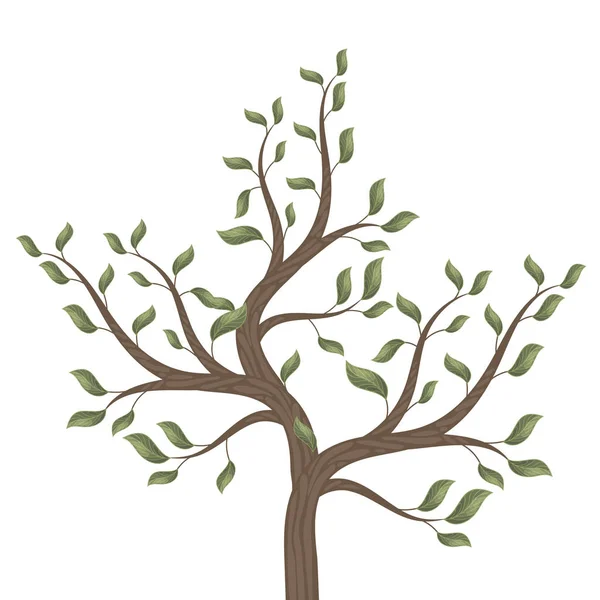 Ağaç Izole Beyaz Arka Plan Vektör Çizim Yapraklarda Ile Eğri — Stok Vektör