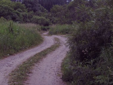 İki kaley ile tozlu ülke yolu orman ağaçları ve çim arka plan karşı bir viraj ile mesafe bırakarak.