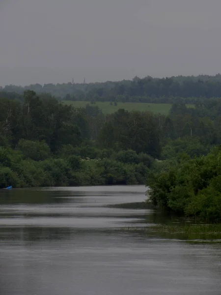 Arka planda uzak bir orman ile merkezinde yoğun çalılar ve ağaçlar ile büyümüş kıyıları ile Orman nehri. — Stok fotoğraf