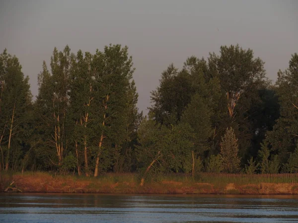 Πράσινα καλοκαιρινά δέντρα στην όχθη του ποταμού που φωτίζονται από τον κίτρινο-πορτοκαλί ήλιο την αυγή. — Φωτογραφία Αρχείου