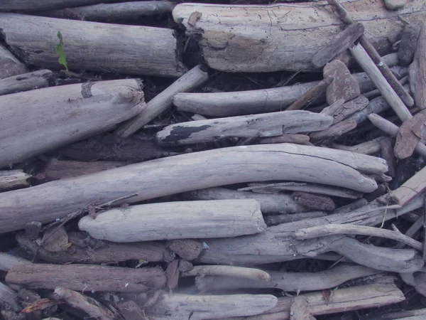 河岸背景上干灰色木枝、植物和木棍的质地. — 图库照片