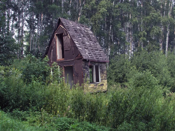 Vecchia casa in rovina grigia abbandonata con un tetto affilato circondato da una foresta di betulle . — Foto Stock