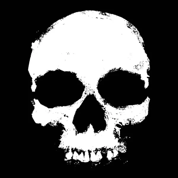Black White Skull — Stock Vector