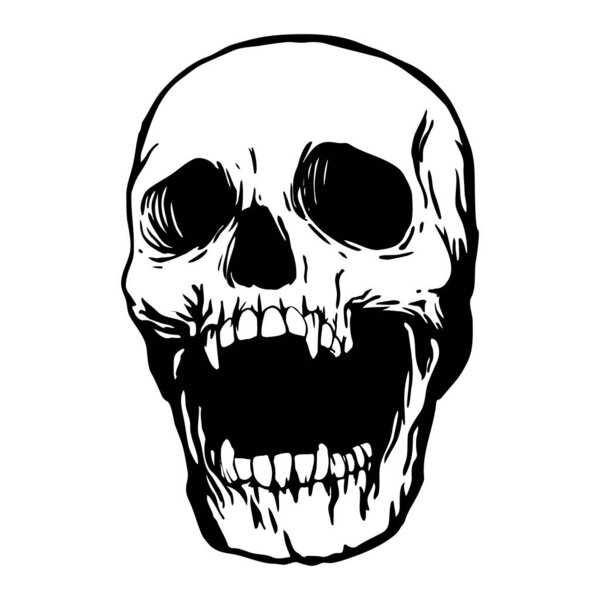 Black White Skull — Stock Vector