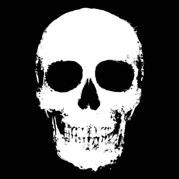 Cráneo Blanco Negro — Vector de stock