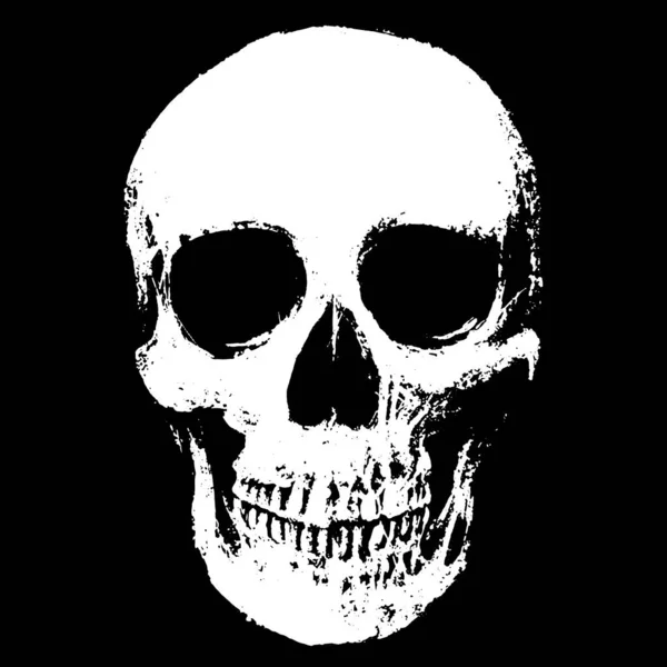 Crâne Noir Blanc Illustration De Stock