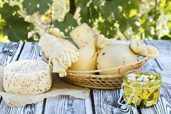 Different types of cheeses on a wooden background against the background of green foliage. Cheese platter. — Stock Image Different Types Cheeses Wooden Background Background Green Foliage Cheese Platter Royalty Free Stock Images