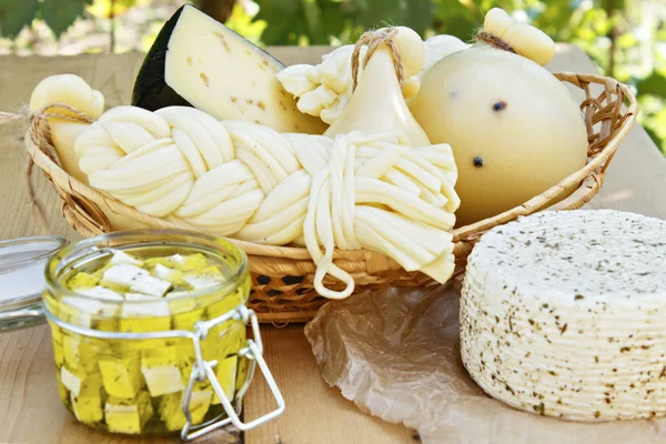Different types of cheeses on a wooden background against the background of green foliage. Cheese platter. — Stock Image Different Types Cheeses Wooden Background Background Green Foliage Cheese Platter Stock Photo